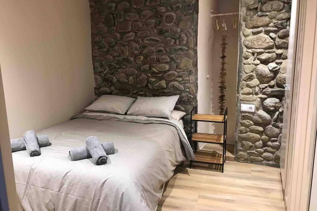 Puigcerda Centro. Acogedor Apartament En El Pueblo エクステリア 写真